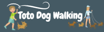toto dog walking